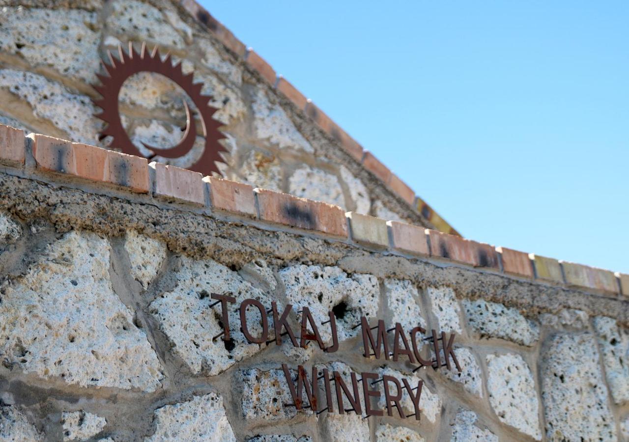 Penzion Tokaj Macik Winery B&B Mala Trna Exterior photo