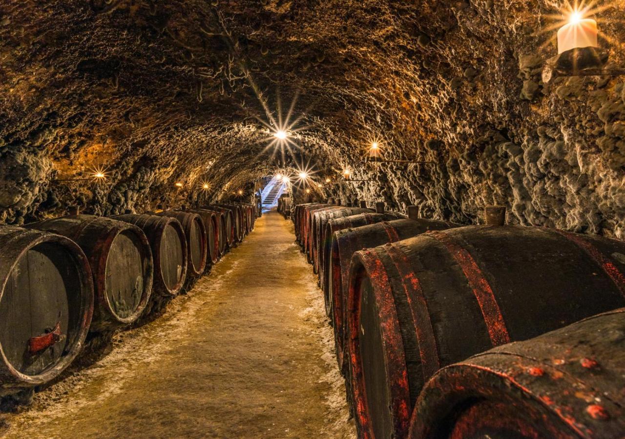 Penzion Tokaj Macik Winery B&B Mala Trna Exterior photo